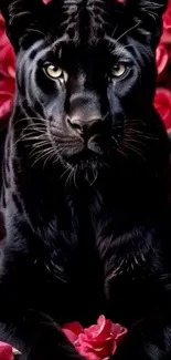 Black panther lying amidst vibrant red roses.