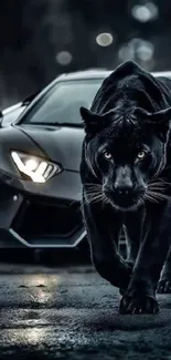 Black panther poised in front of a sleek sports car at night.