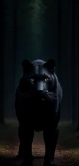 A majestic panther walks through a dark, atmospheric forest path.