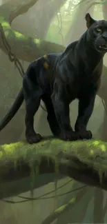 Majestic black panther on a tree in a dense jungle setting.