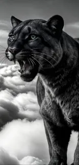 Panther standing among the clouds showcasing elegance.
