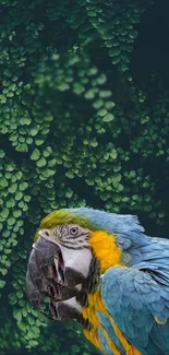 Colorful parrot perched among lush green jungle leaves.