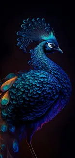 Majestic peacock artwork with vibrant colors and elegant details on dark background.