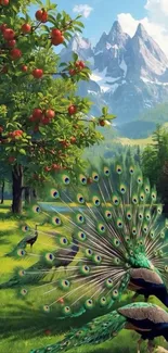 Peacock with vibrant feathers in a scenic natural landscape.