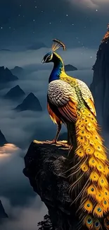 Peacock on cliff with night sky backdrop