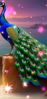 A majestic peacock perched on a rock by the sea during a vibrant sunset.