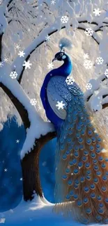 Majestic peacock perched on snowy tree.