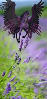 A majestic Pegasus flies over a lavender field.