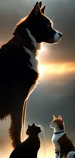 Dog and cats silhouetted against a sunrise, creating a serene mobile wallpaper.