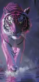 Pink and purple artistic tiger walking through water.