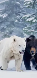 Polar and grizzly bears in snowy forest