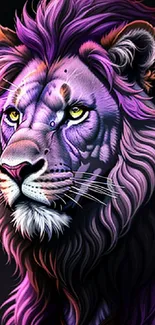 Majestic purple lion in digital art wallpaper.