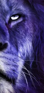 Purple lion portrait wallpaper for mobile phone screen.
