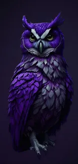 Purple owl with detailed feathers on a dark background wallpaper.