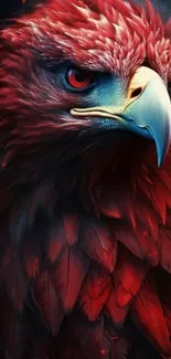 Majestic red eagle with sharp eyes on dark background.