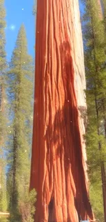 Majestic redwoods in a serene forest landscape.