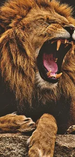 Roaring lion on rock, bold mobile wallpaper.