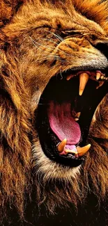 Close-up of a roaring lion showcasing its majestic mane and fierce expression.