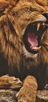 A majestic roaring lion on a rock with a vibrant mane.
