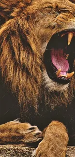 Close-up of a roaring lion showcasing its mane and teeth in a dramatic pose.