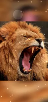 Close-up of a roaring lion with a majestic golden mane.