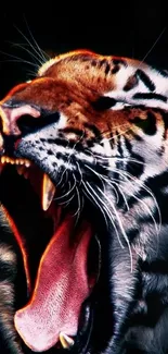 Close-up of a roaring tiger with an open mouth and exposed teeth on a dark background.