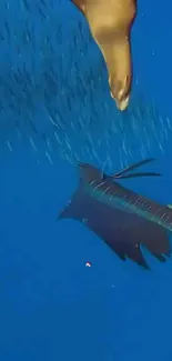 Underwater scene with sailfish in vibrant blue ocean.