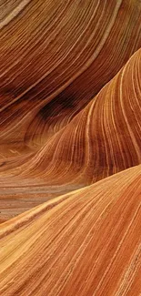 Wavy sandstone formation with earthy colors.