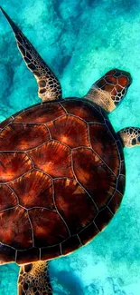 A sea turtle swimming in clear turquoise water, highlighting marine beauty.