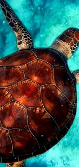 Sea turtle swimming in blue ocean water.