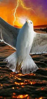 Seagull soaring over sunset-lit ocean with vibrant orange sky.