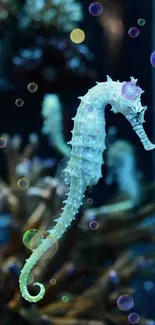 Serene seahorse in blue-green underwater setting.