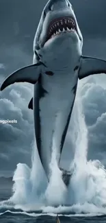 Leaping great white shark from ocean.