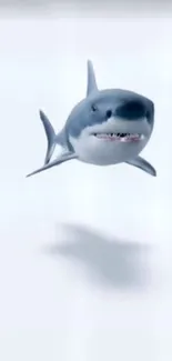 Realistic shark wallpaper with white background.