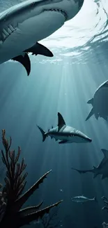 Sharks swimming gracefully in sunlit underwater scene.