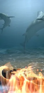 Underwater scene with sharks above a coral reef illuminated by sunlight.