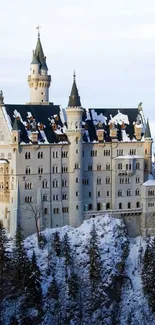 Majestic snowy castle with trees, set in a serene winter landscape as a phone wallpaper.