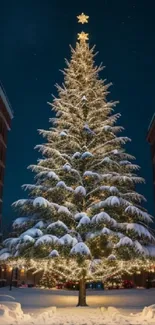 Snowy Christmas tree lit up against a nighttime city backdrop.