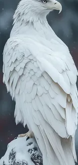 Snowy eagle perched with white feathers against a blurred winter backdrop.