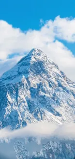 Snow-covered mountains under a bright blue sky.