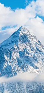 Majestic snowy mountain peak under a clear blue sky.