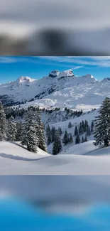 Snowy mountain landscape with evergreen trees and blue sky.