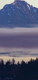 Snowy mountain peak above a forested landscape.