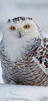 Snowy owl with yellow eyes in a snowy landscape, showcasing white and brown feathers.