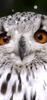 Snowy owl with orange eyes and snowflakes gently falling.