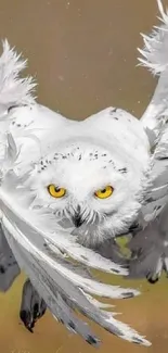 Majestic snowy owl in flight with spread wings.