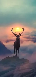 Silhouette of a stag against a vibrant sunset in a misty mountain landscape.