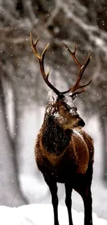 Majestic stag in snowy forest, elegant and serene.