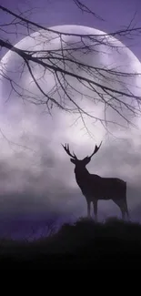 Majestic stag silhouette under a luminous full moon in a misty night sky.