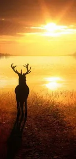 Silhouetted deer against golden sunset by a tranquil lake.